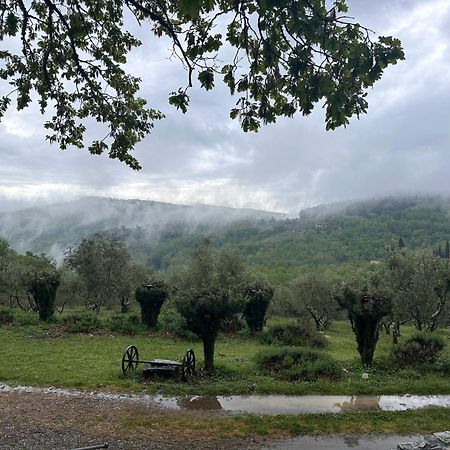 Podere Sagna Castellina in Chianti Eksteriør billede