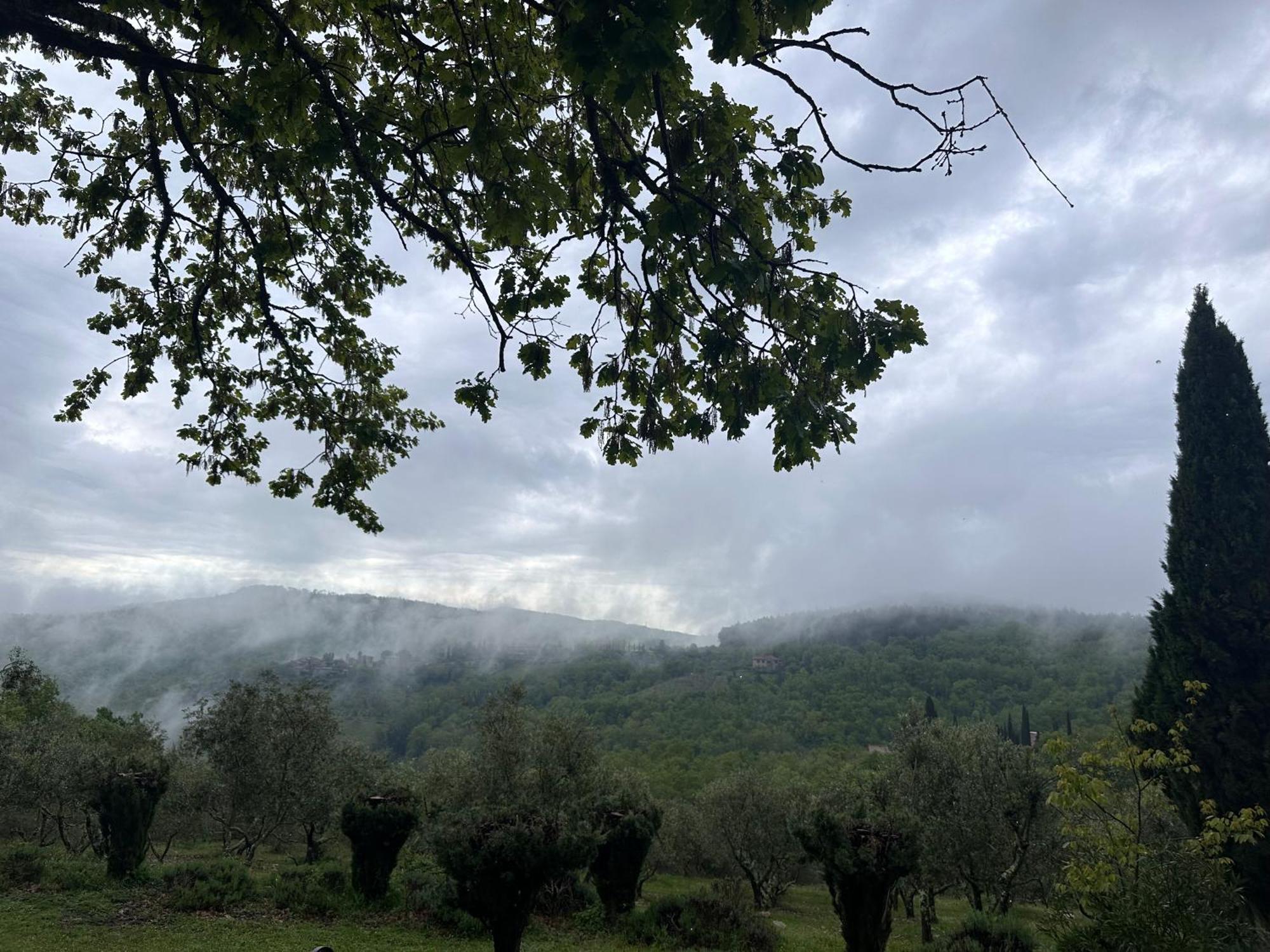 Podere Sagna Castellina in Chianti Eksteriør billede