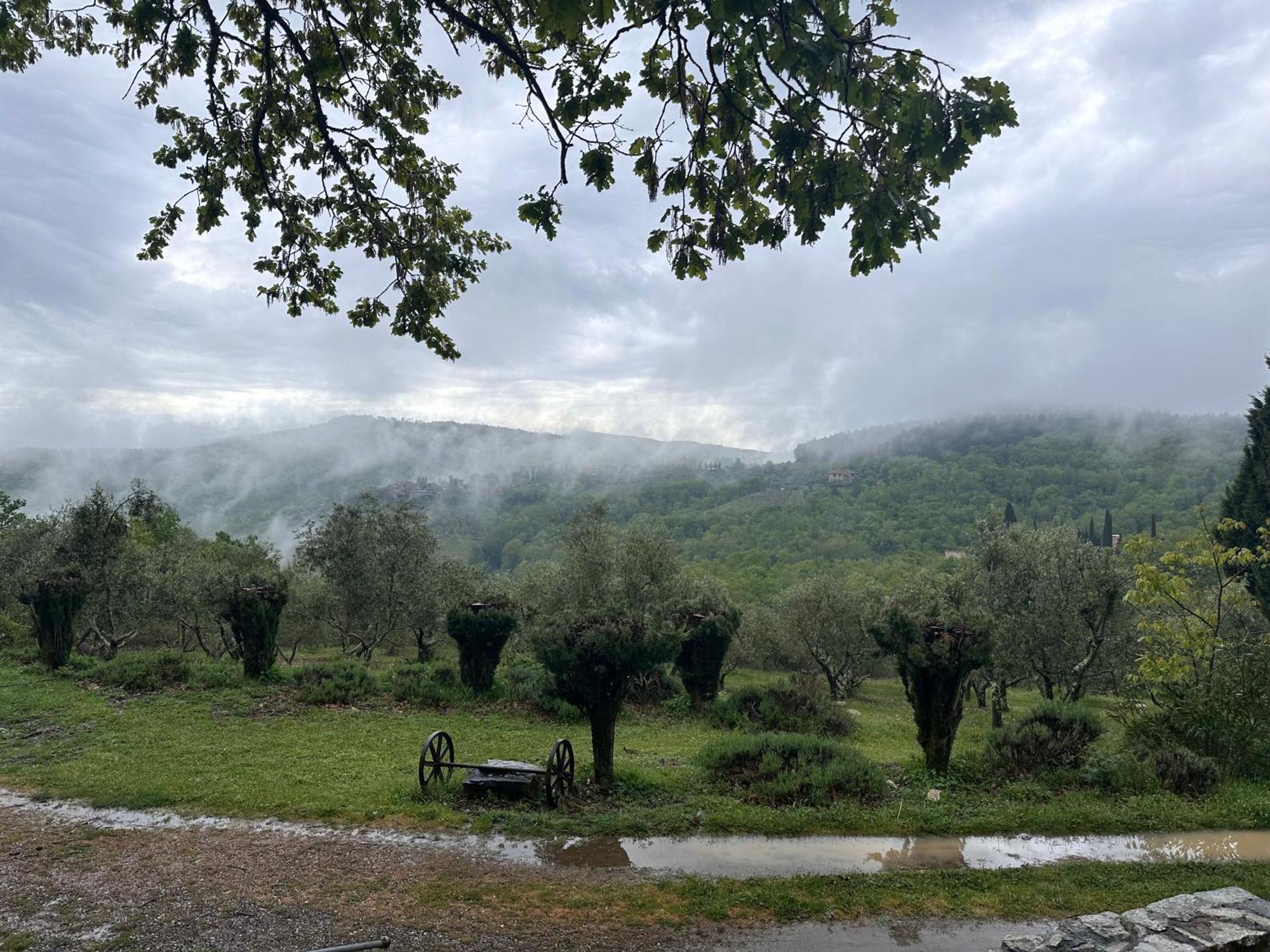 Podere Sagna Castellina in Chianti Eksteriør billede