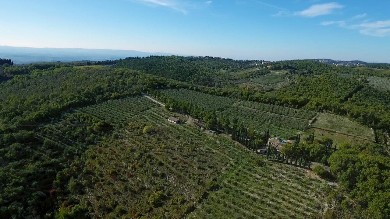 Podere Sagna Castellina in Chianti Eksteriør billede