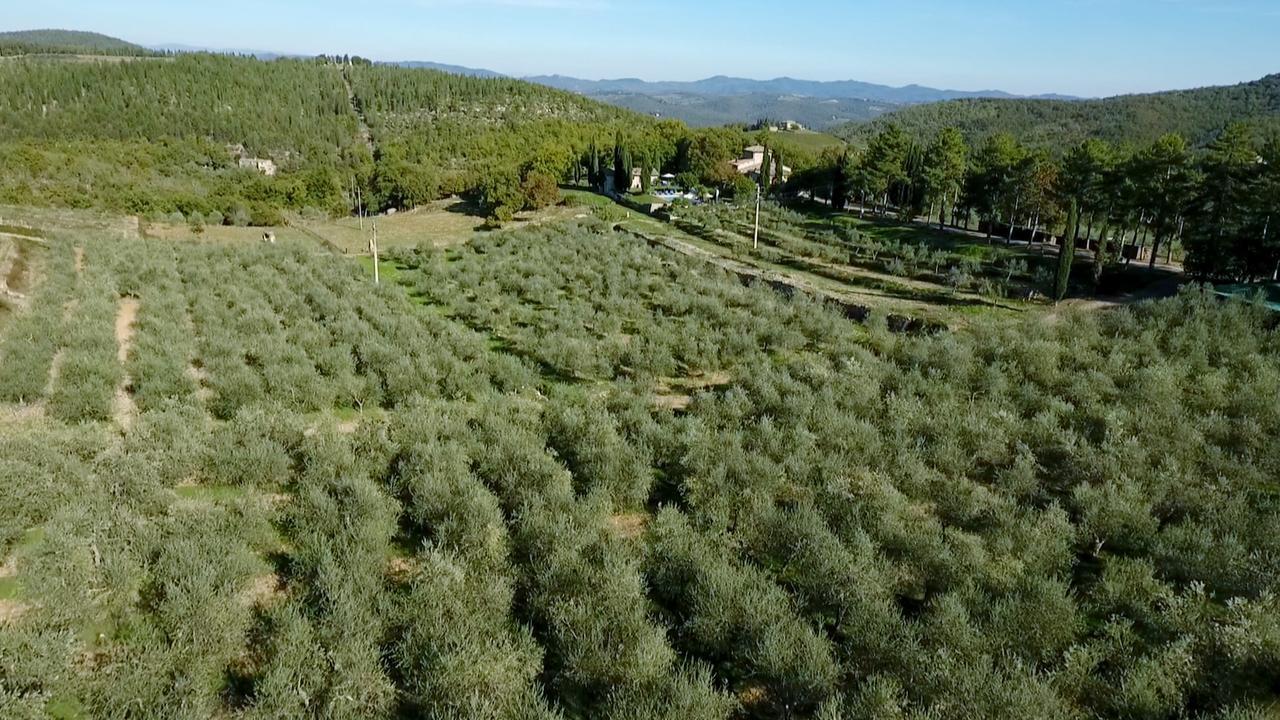 Podere Sagna Castellina in Chianti Eksteriør billede